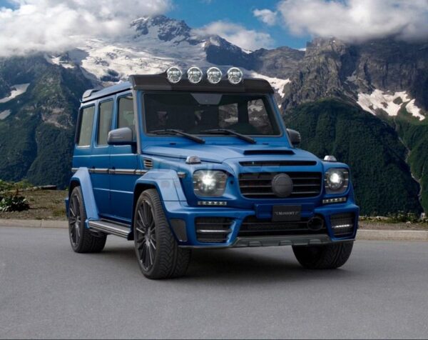 MANSORY Grill Mask Cover III “GRONOS Look” for AMG G63/G65 from 2012 - G350/G500 from 2015