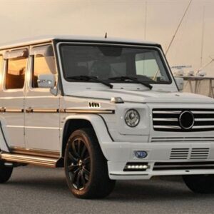 A.R.T. Lamella Grill with MB star, G55 style