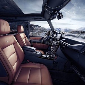 LORINSER Interior G-Class, Leather/Alcantara for G-Class (W463) 2013