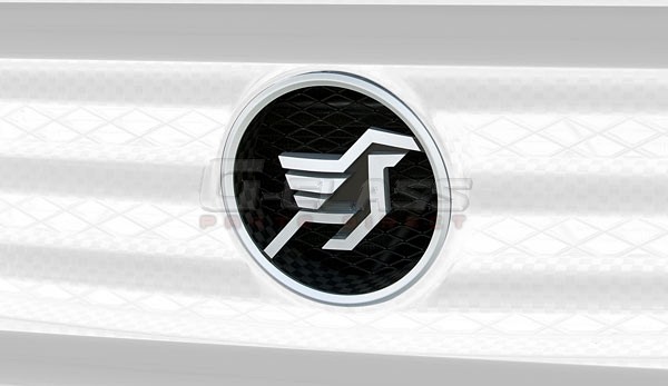 HAMANN Pegasus in Aluminum for Front Grills for G-Class W463 - Image 2