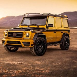 MANSORY Roof Panel with 2 Position Lights for AMG G63/G65 from 2012 - G350/G500 from 2015