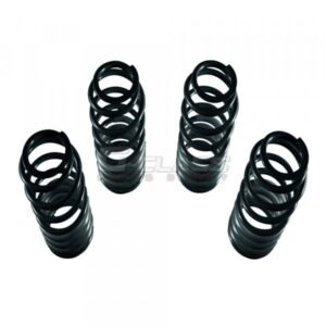 LORINSER Lowering Kit W463A