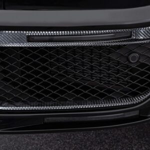 BRABUS Carbon Fiber Front Fascia Inserts for WIDESTAR - G-Wagon W463A