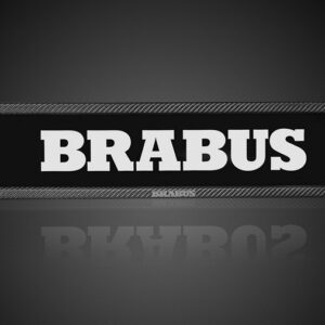 BRABUS Carbon License Plate Holder for Mercedes G-Class W463A – AMG G63/G500/G350